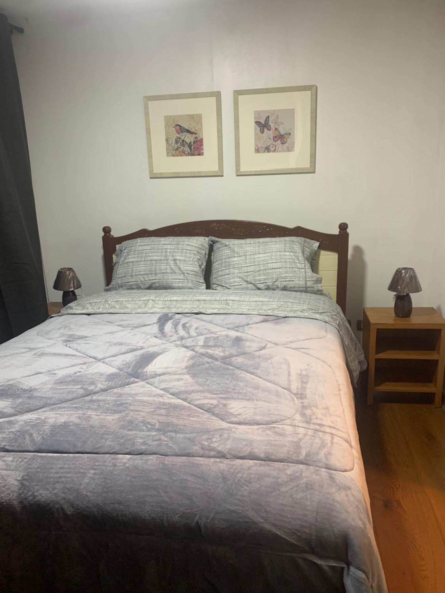 Apartamento Departamento Amoblado Centro Concepción